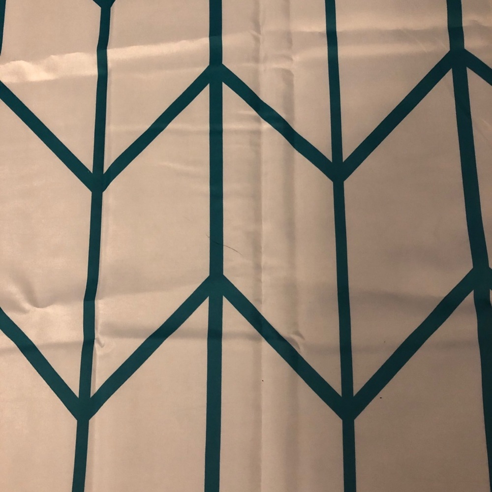 White and teal shower curtain